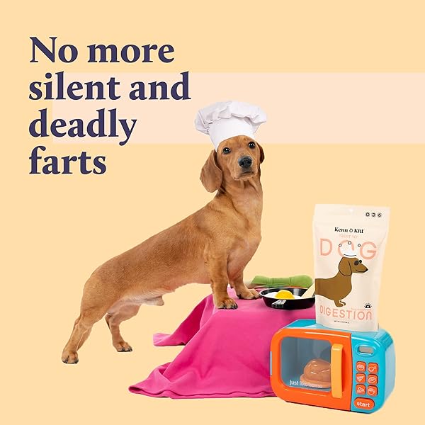 KENN & KIT SUPPLEMENTS FOR DOGS (DIGESTIVE HEALTH)