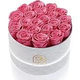 Flowers for Delivery, 20 Preserved Roses in Velvet Box, Gifts for Women | Ready-to-gift for Valentine's Day, Mother's Day, birthdays and anniversaries, with real roses preserved to last for years.