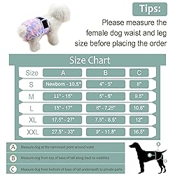 Grecle 3 Pack Female Dog Diapers - Reusable Diapers