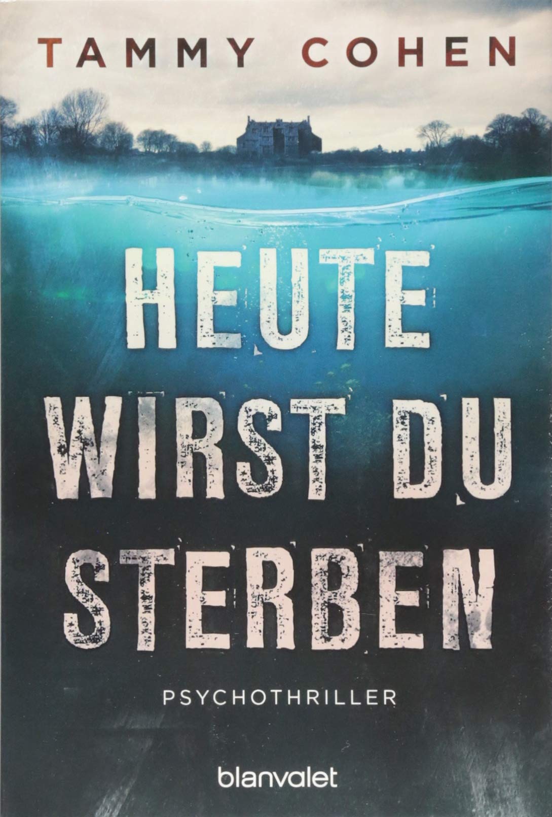 Heute Wirst Du Sterben Psychothriller Tammy Cohen 9783734106477