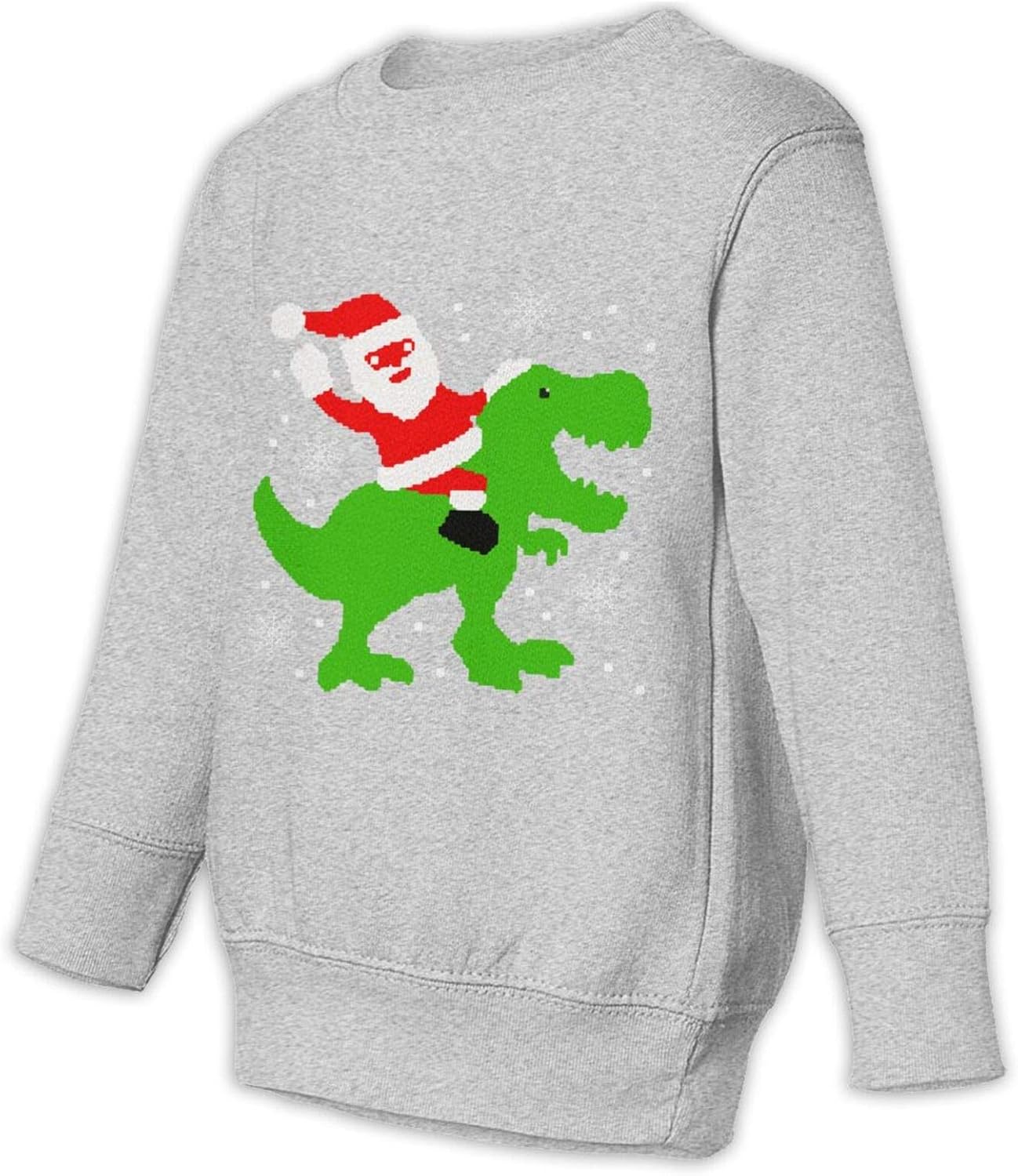 Amazon.com: Teenagers Santa Ride Dinosaur Christmas Holiday Pullover Hoodie Fashion Crew Neck 