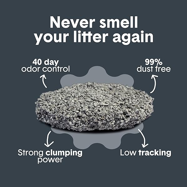 BOXIE® PROBIOTIC CAT LITTER 40 DAY NATURAL ODOR CONTROL, 16LB CLUMPING KITTY LITTER (CLAY)