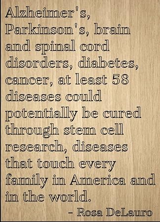 Get Rosa zitat For Free Rosa Zitat