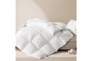 LeWinBedding Luxury Goose Feathers Down Comforter Queen Size,All Season Fluffy Duvet Insert,750 Fill Power Hotel Quality Bed Comforter with 8 Tabs(White,90x90 inches)