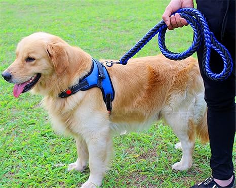 Chaleco ajustable para perro con correa de perro trenzada ...