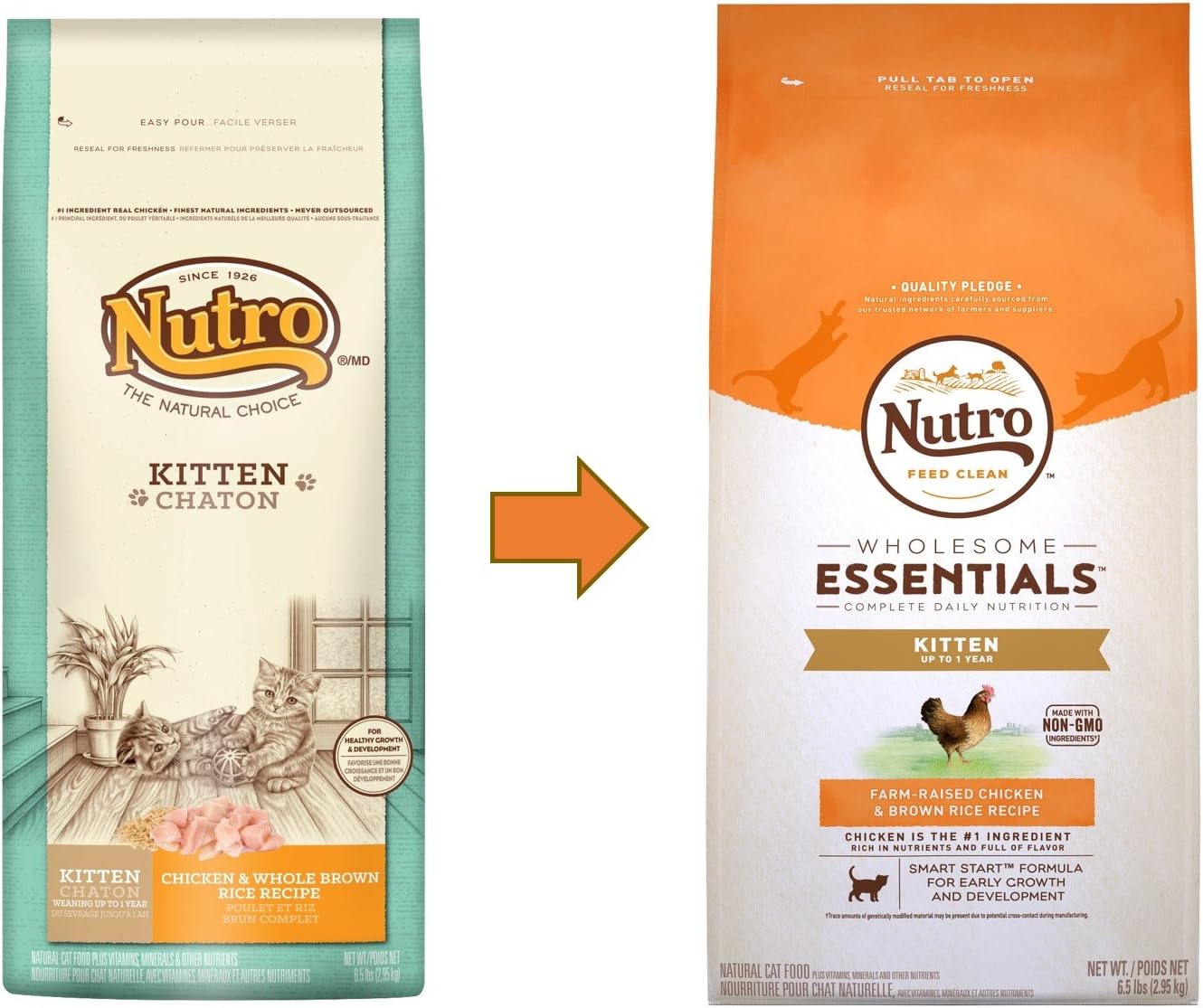 nutro kitten