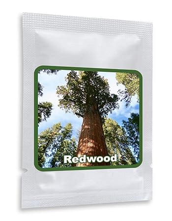 Mammutbaum/Riesenmammutbaum 25 SAMEN - Redwood - Winterhart