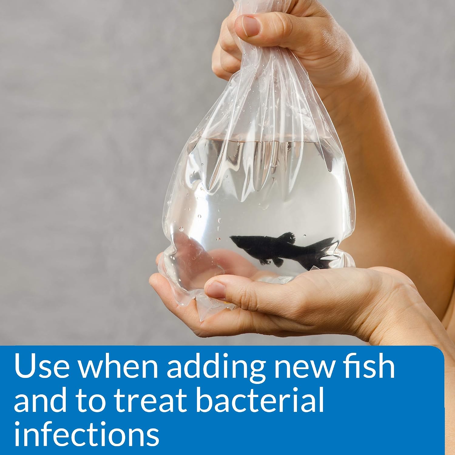 API MELAFIX Freshwater Fish Bacterial Infection Remedy 1.87-Liter Bottle, 1.87 Litre - Image 4