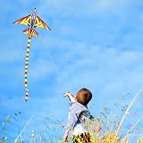 HONBO Airplane Jet Kite for Kids and Adults Beginner Kite with Handle and String view 2