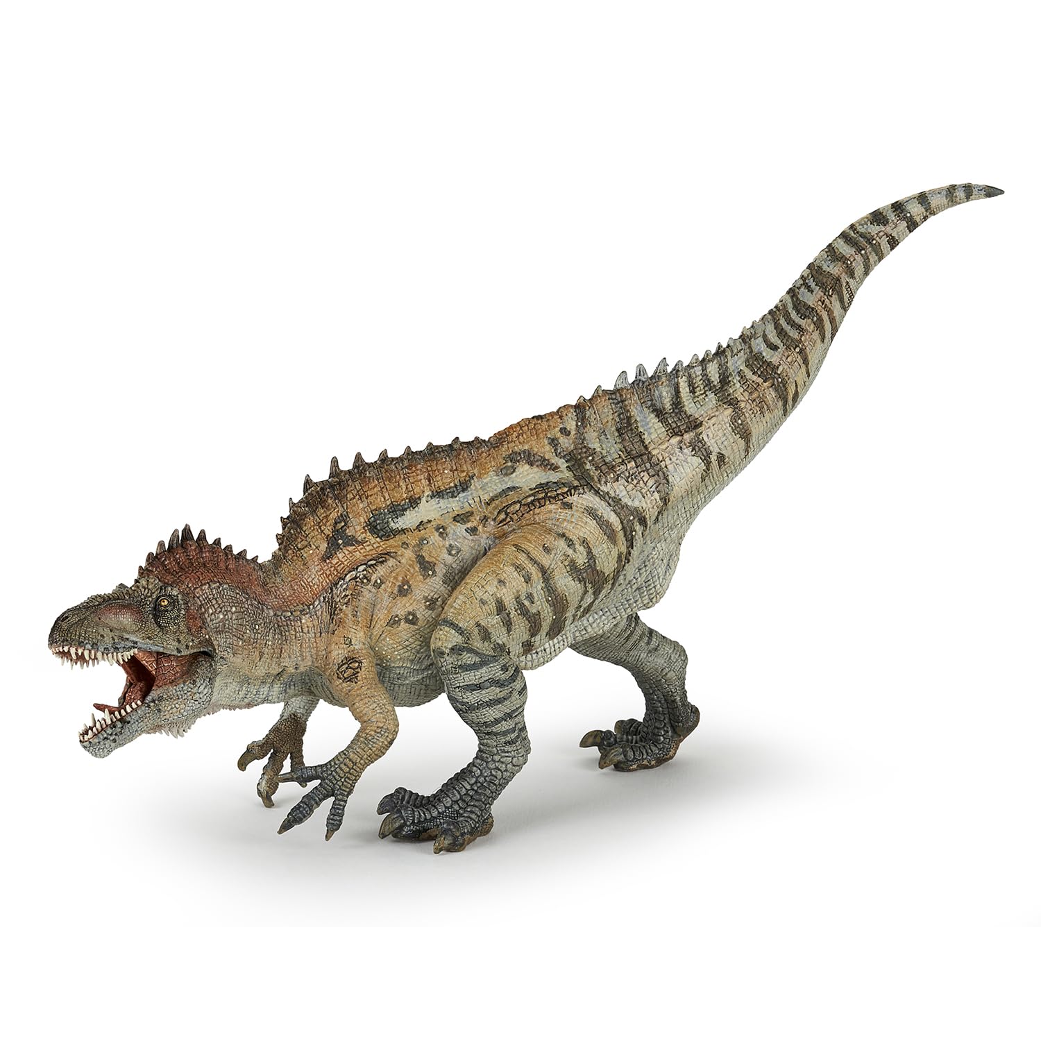 Papo - Realistic Acrocanthosaurus Figure Toy for Kids - Ages 3+ - Dinosaurs Collection - Educational Play Prehistoric Species - Gift Idea Toy for Girls and Boys - 28 Cm