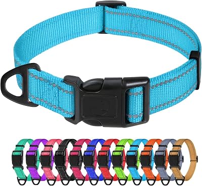 TagMe Reflective Nylon Dog Collars Adjustable 2.0 cm SkyBlue Small Dogs