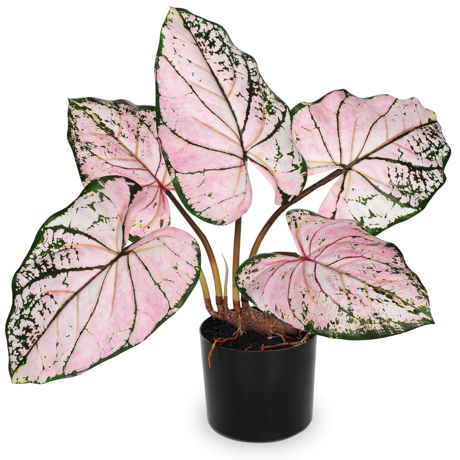 Photo 1 of Briful 22'' Tall Fake Plants Artificial Caladium Plants in Black Pot Realistic Potted Faux Plant Indoor for Home Decor Wedding Farmhouse Centerpiece, Wide Pink-Black Leaf