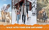 Loutep Training Lead for Dogs 3m 5m 10m 15m 20m 25m 30m Nylon Leash view 8