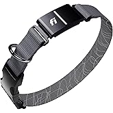 New Fi Series 3+ Smart Dog Tracker Collar [12 Month Membership Included] GPS Tracker for Dogs with Health & Behavior Monitoring, Escape Alerts, Waterproof, LED, Apple Watch Compatible (Gray, Large)