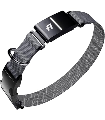 Amazon.com: Garmin T 5X Dog Device, Tracking and Training Dog