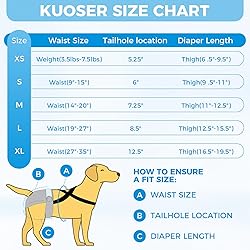 Washable Female Dog Diaper with Suspender - 3 Pack