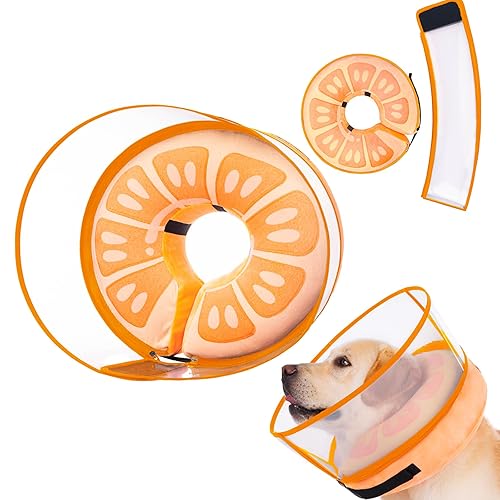 Cone Collar Inflatable Dog Cone Walmart Dog Cones At Walmart