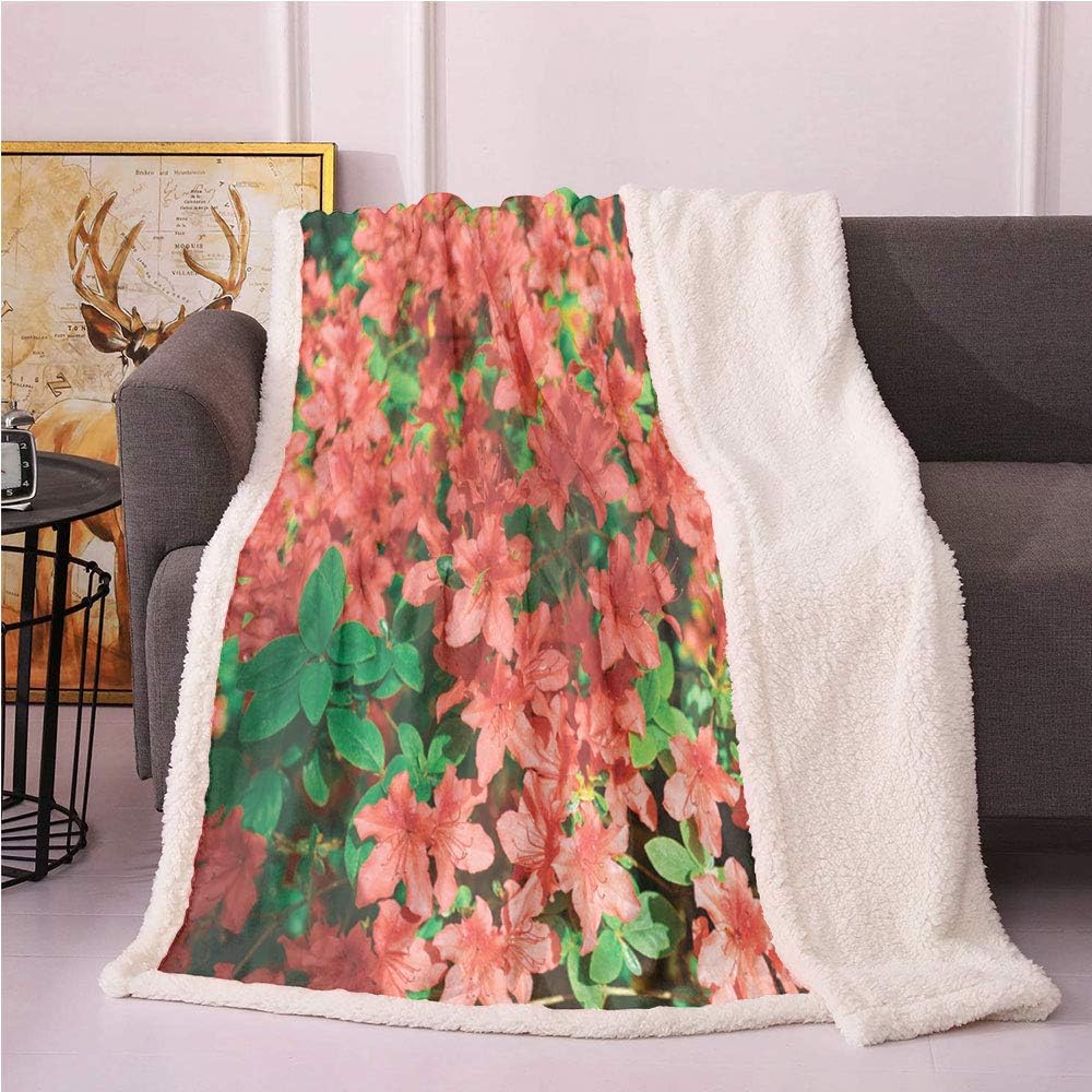 SeptSonne Azalea Plush Blanket,Photo of Rhododendron Bushes in Botany Garden Print Light Thermal Blanket,Couch Cushions Throw Blanket(50x60,Burnt Sienna and Shamrock Green)
