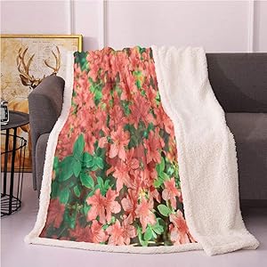 SeptSonne Azalea Plush Blanket,Photo of Rhododendron Bushes in Botany Garden Print Light Thermal Blanket,Couch Cushions Throw Blanket(50x60,Burnt Sienna and Shamrock Green)