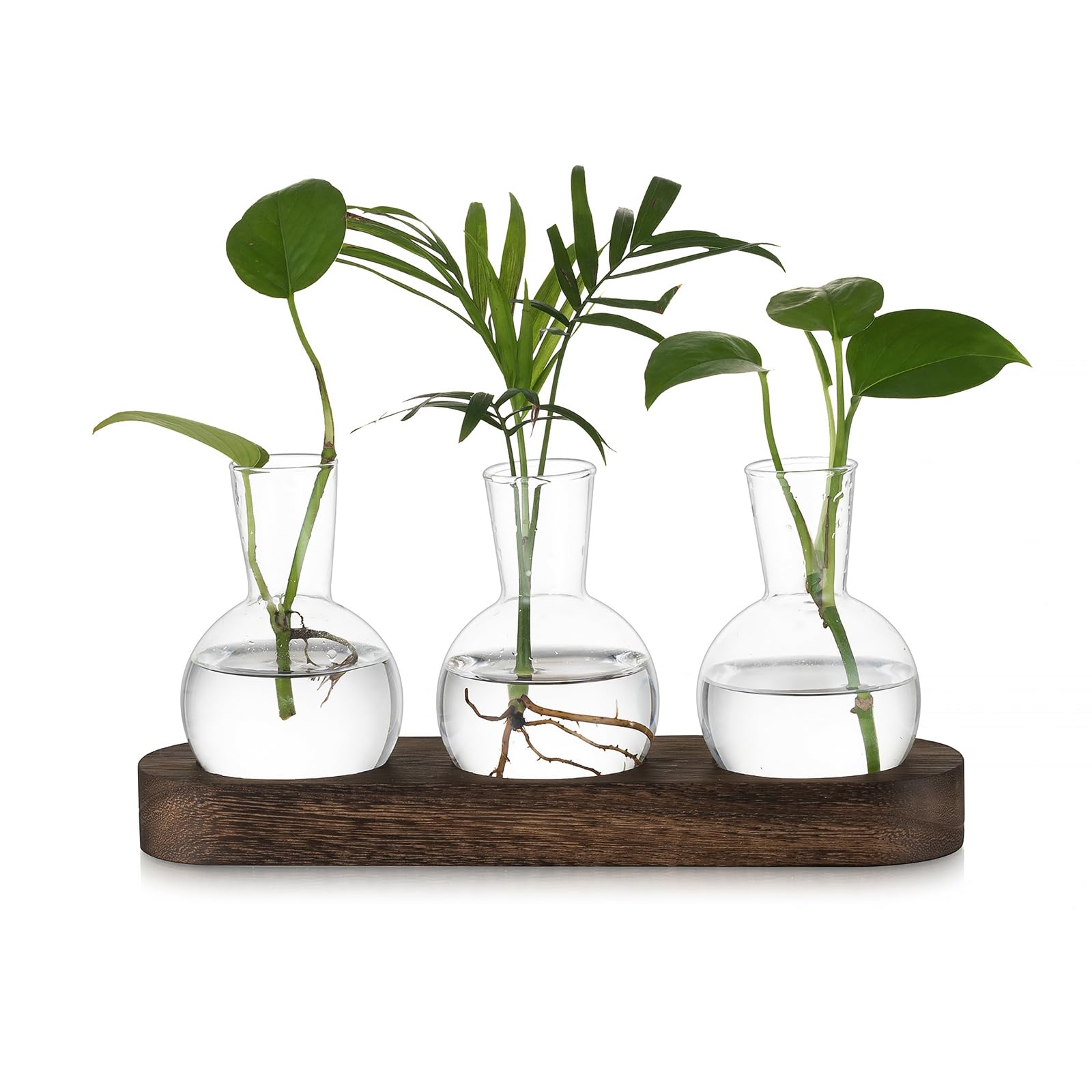Hewory Propagation Station Propagators for Plants: Desktop Glass Terrarium Bulb Vase Gifts for Plant Lovers - Small Glass Vase Terrarium Jar With Wood Tray For Houseplants Cuttings Windowsill, 3pcs