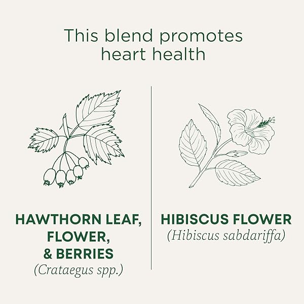 TRADITIONAL MEDICINALS TEA, ORGANIC HAWTHORN & HIBISCUS – PROMOTES HEART HEALTH – KOSHER, NON-GMO, CAFFEINE-FREE – 16 TEA BAGS