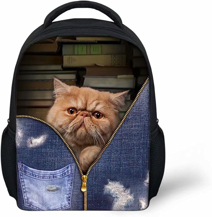 Funny Cat Backpack for Kindergarten Child 12 inch Personalized Small Casual Daypack by
