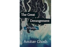 The Great Derangement: Climate Change and the Unthinkable (Berlin Family Lectures)