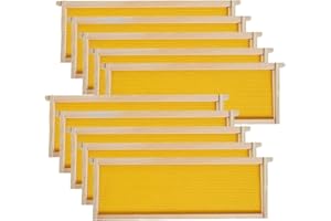 MAYBEE Medium Super Beehive Frames with Wax Foundations, 10 Pack Honey Bee Frames with 100% Beeswax Coated Food Grade Foundation Sheets, 6-1/4-Inch (Yellow)