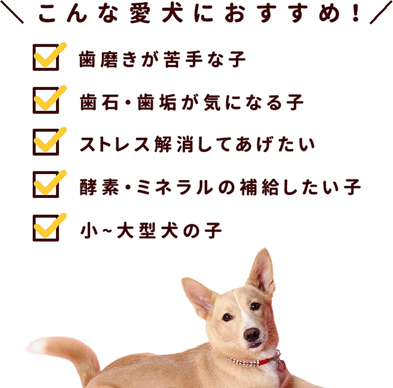 Amazon 犬用高級生肉生骨 国産 大山どり手羽さき 5本入り 帝塚山ハウンドカム ウェット 通販