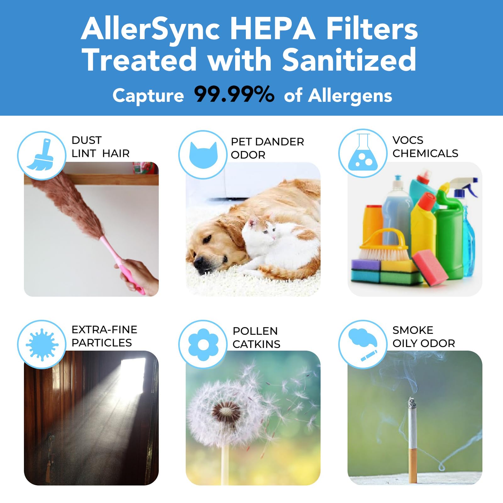 Genuine CleanForce AllerSync MaxPure H13 True HEPA Sanitized Air Filter for Rainbow Series, filters Dust, Somke, Pollen, Lint, Allergens, Pet Hair Dander and Odors