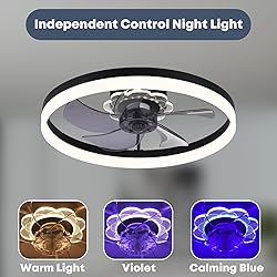 Fszdorj 23.6'' Ceiling Fan with Light, Upgraded Low