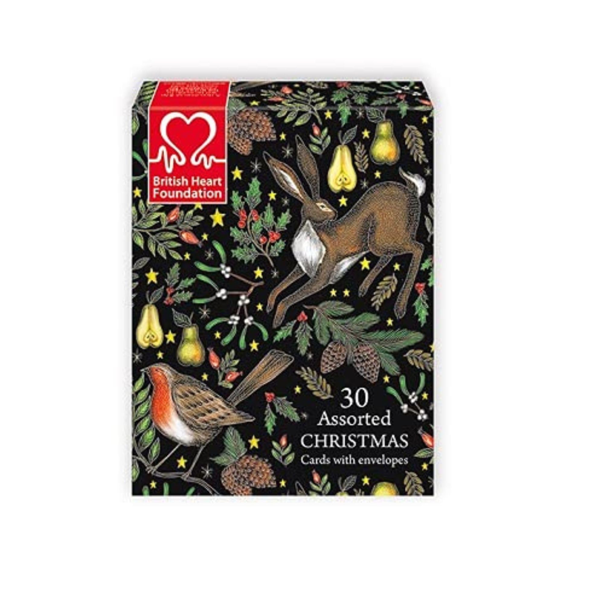 Museums and Galleries Charity Christmas Cards Box of 30 with Assorted Animals, Scenic Views and Santa Designs - Eco-Friendly Xmas Cards Multipack with Envelopes