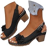 Chunky Heels Sandals for Women 2026 Dressy Block High Heels Ankle Strap Hollow Out Platform Wedge Summer Shoes Comfortable Flower Sandals for Spring and Fall