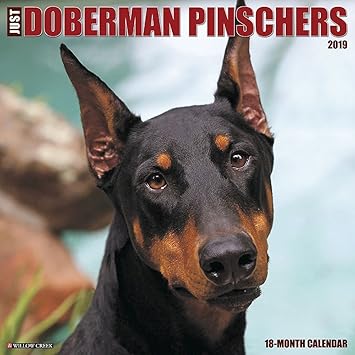 doberman products