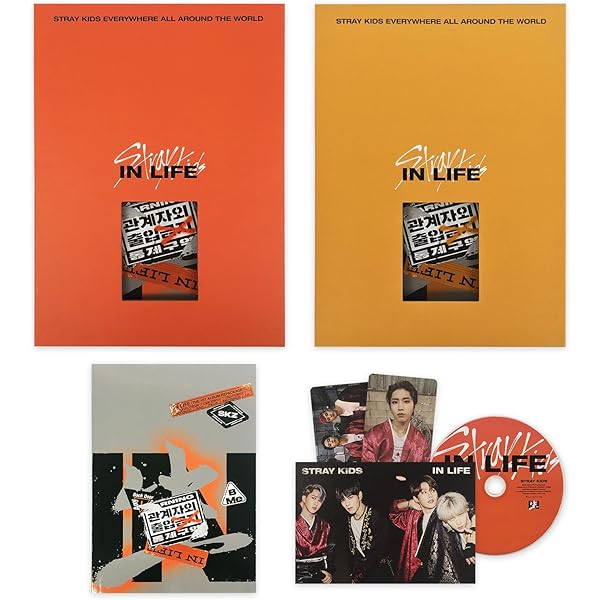 Stray Kids In生/in Life 1st Album Repackage Normal Random Version