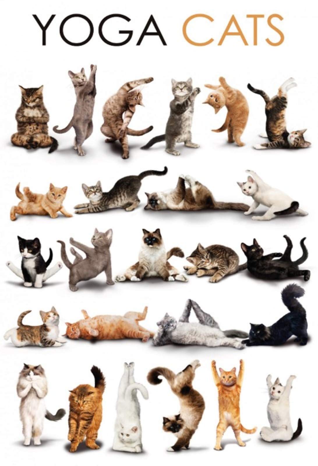 Schatzmix Tin-Plate Sign, Wall Plaques, Sheet metal, Multicoloured, 20x30 cm