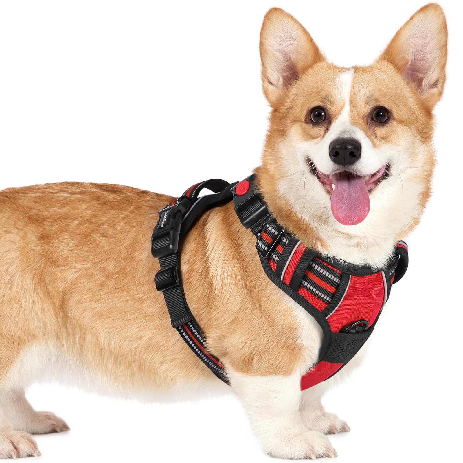 rabbitgoo Dog Harness Small Dog with Neck Release Buckle, Adjustable Soft Padded Puppy Pet Vest with Easy Control Handle, Reflective No Pull Dog Harness with Front Back Clips, Red, M