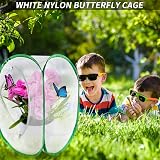 TSLBW Insect Butterfly Habitat Cage Large 40x40x60cm Collapsible Pop-Up view 7
