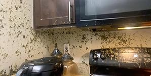 Review Image by Rochelle Oliver