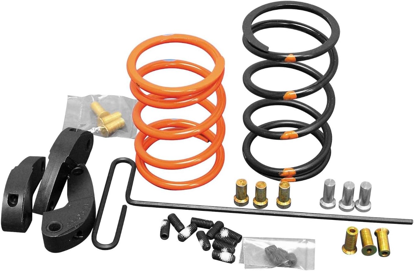 Dalton Clutches DALTON PRO CLUTCH POL RZR 11