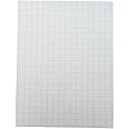 School Smart Double Sided Graph Paper, 8-1/2 x 11 Inches, 1/2 Inch Rule, White, Pack of 500 - 085279
