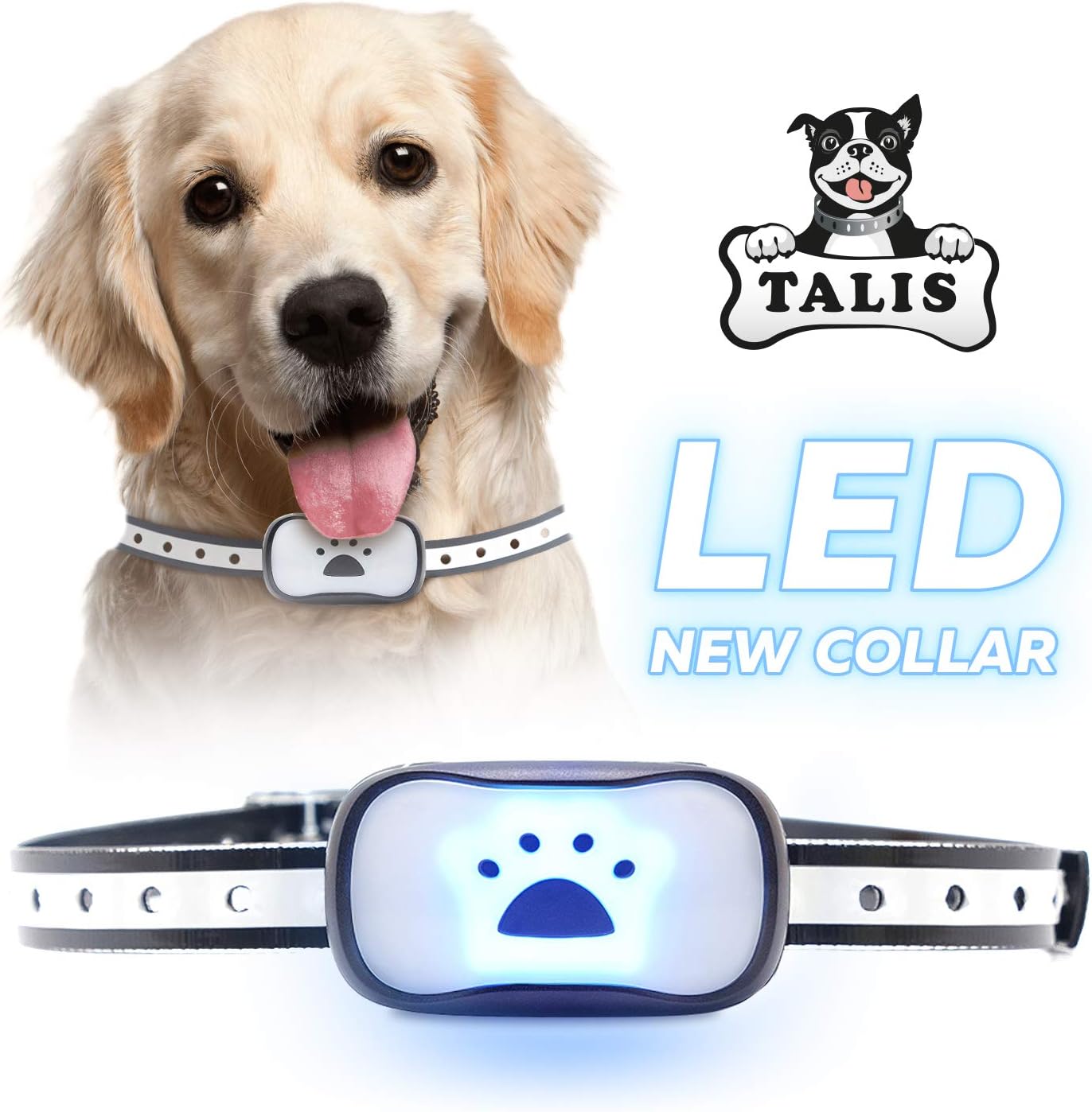 best anti barking device for small dogs