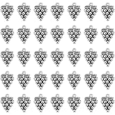SUNNYCLUE 1 Box 100Pcs Grape Charms Bulk Silver Vintage Charms Alloy Metal Tibetan Mini Cute Fruit Charm for Jewelry Making Charms Women DIY Necklaces Earrings Bracelets Crafts Supplies 20MMx14.5MM
