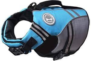 VIVAGLORY Sports Style Dog Life Vest, Dog Life Jacket for Swimming & Boating, Ripstop & Buoyancy for Puppy Doggy, Lifejacket with Handle, XS, Blue