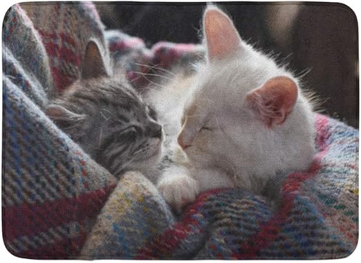 Amazon Com Emvency Bath Mat Two Sweet Maine Coon Kittens Snuggled