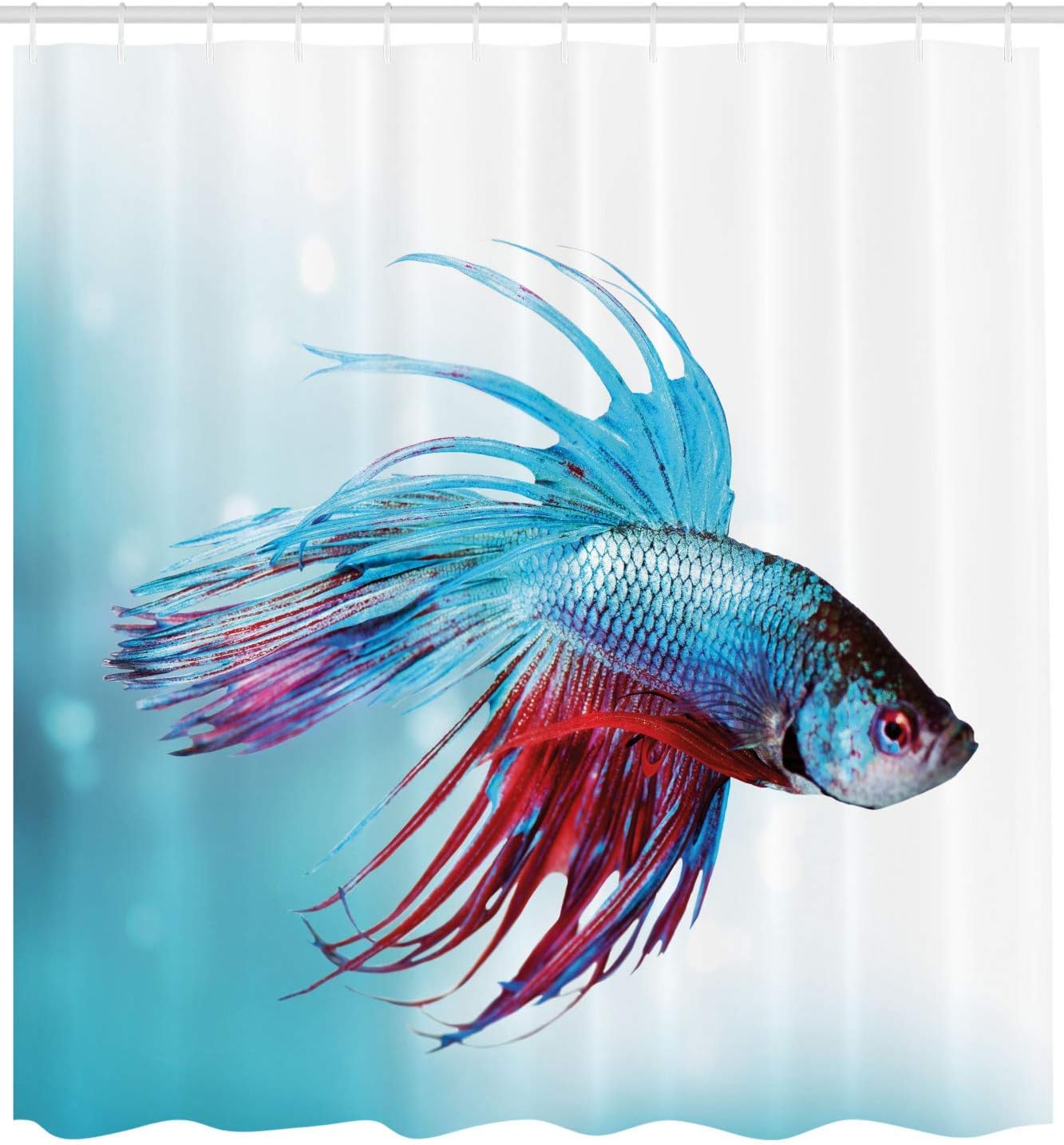 Nyngei Aquarium Shower Curtain Siamese Betta Fish Swimming in Aquarium Aggressive Sea Animal Nautical Fabric Bathroom Decor Set with Hooks 180CM Sky Blue Dark Coral