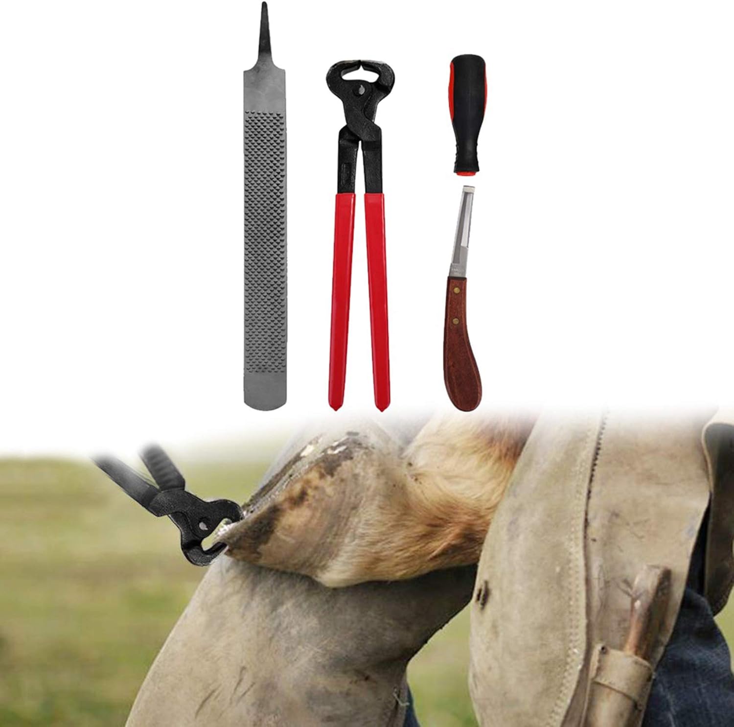 Noblik Farrier Hoof Trim Tool Kit, Professional Horses Hoof Trimming