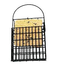 Suet Plus Bird Suet Cake 12 Pack of 11 oz Suet