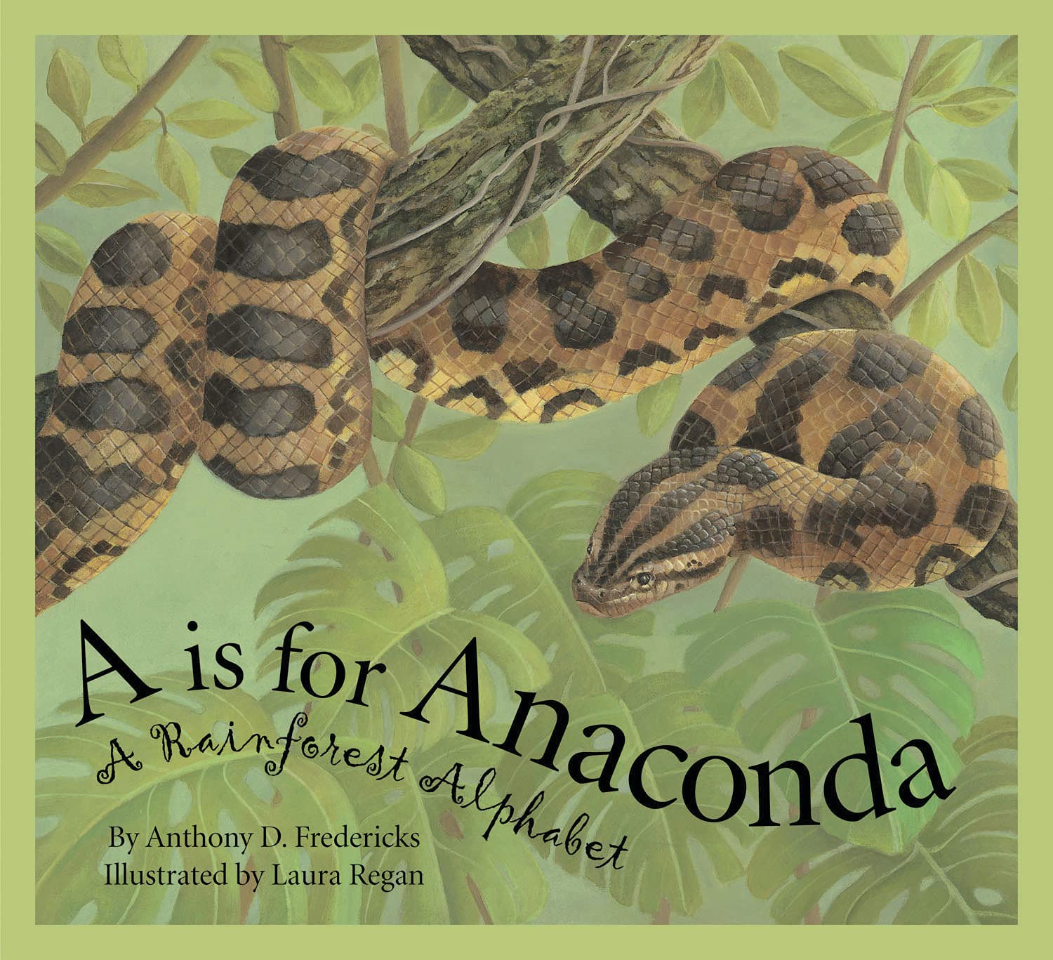 48 Fantastic Rainforest Books for Kids Teaching Expertise