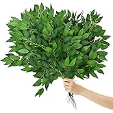 Jcbiovo 26Pcs Italian Ruscus Greenery Stems,Artificial Silk Greenery Leaves,Bendable Faux Hanging Plants Spray for DIY Wedding Arch Bouquet Table Centerpieces Vase Filler and Home Indoor Decor (26)